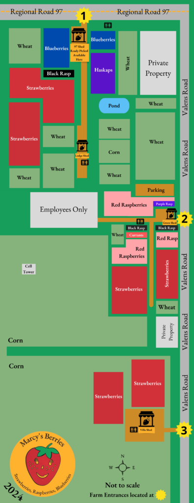 Planning Your Visit - Marcy's Berries